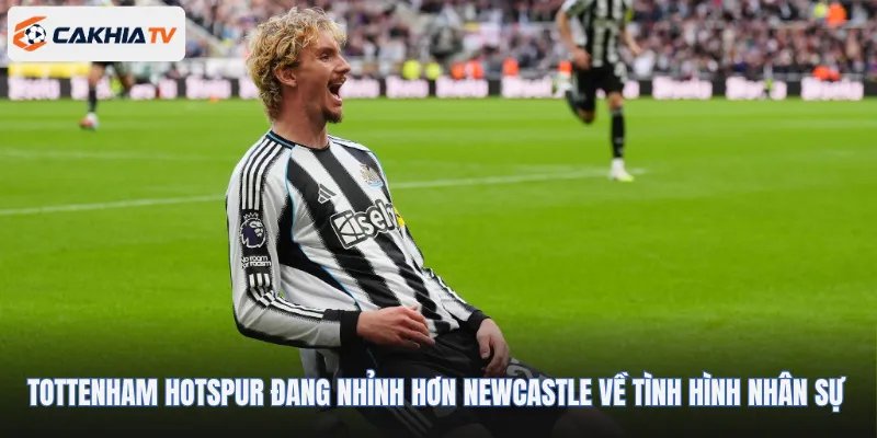 Tottenham Hotspur đang nhỉnh hơn Newcastle United về tình hình nhân sự